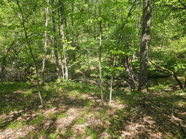 8366 Hidden Creek Ct, Pequot Lakes, MN 56472