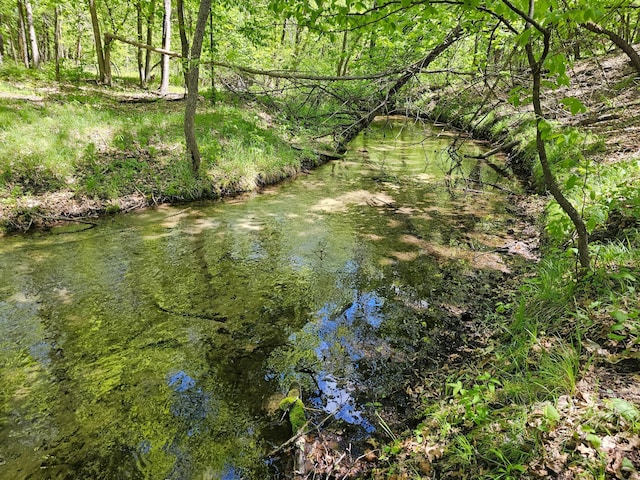 8366 Hidden Creek Ct, Pequot Lakes, MN 56472