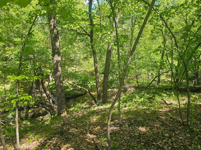 8366 Hidden Creek Ct, Pequot Lakes, MN 56472