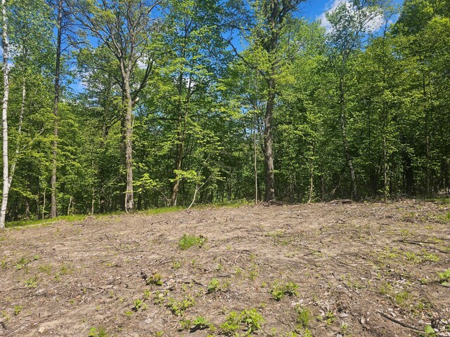8366 Hidden Creek Ct, Pequot Lakes, MN 56472