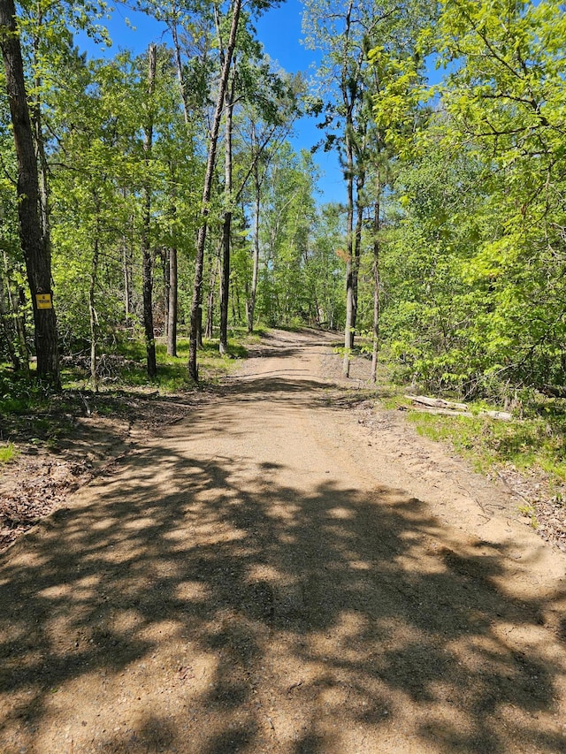 8366 Hidden Creek Ct, Pequot Lakes, MN 56472