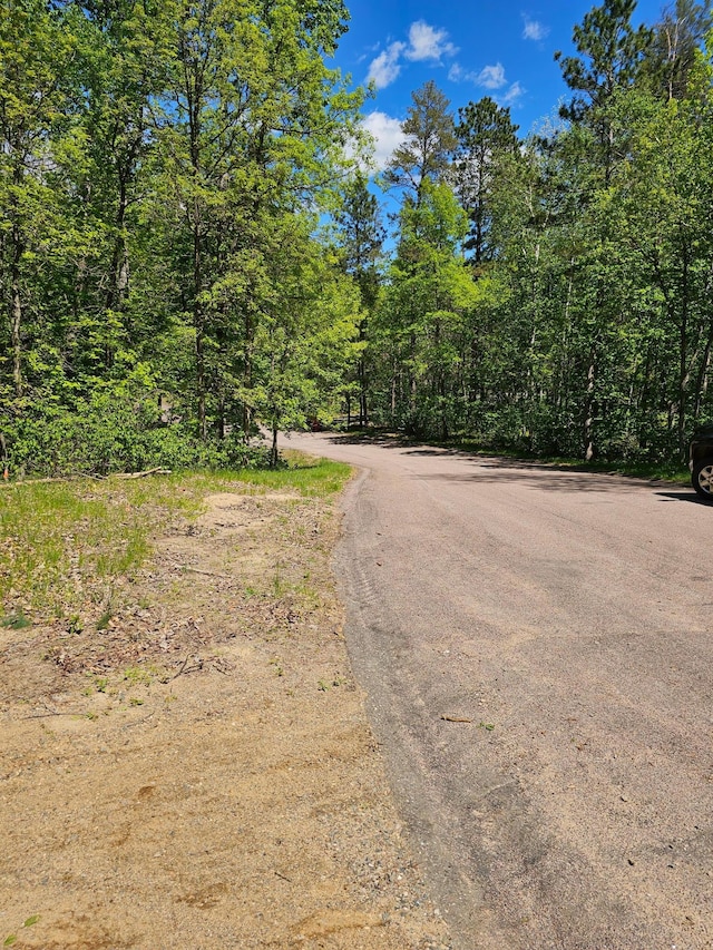8366 Hidden Creek Ct, Pequot Lakes, MN 56472