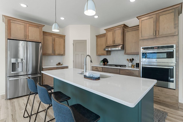 13430 Cadogan Way, Rosemount, MN 55068 - kitchen featuring appliances with stainless steel finishes, a sink, under cabinet range hood, light wood finished floors, and backsplash