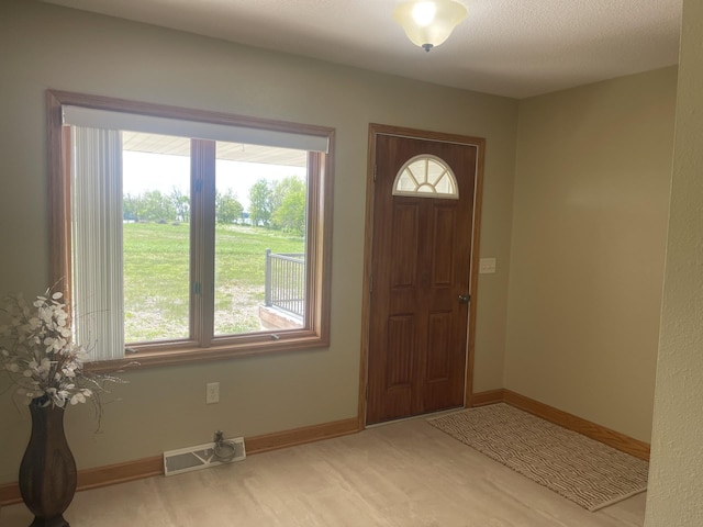 22 Jayvee Ln, Lake Sarah Twp, MN 56132 - entryway featuring healthy amount of natural light