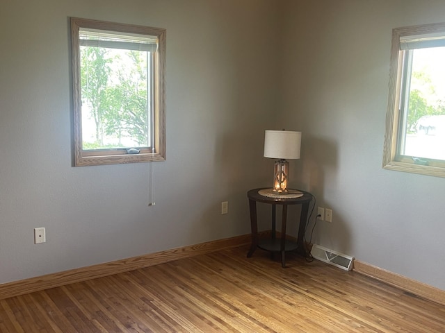 22 Jayvee Ln, Lake Sarah Twp, MN 56132 - empty room featuring healthy amount of natural light and light wood-style flooring