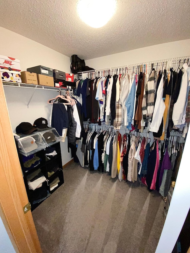 walk in closet featuring carpet floors