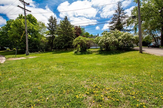 view of green lawn