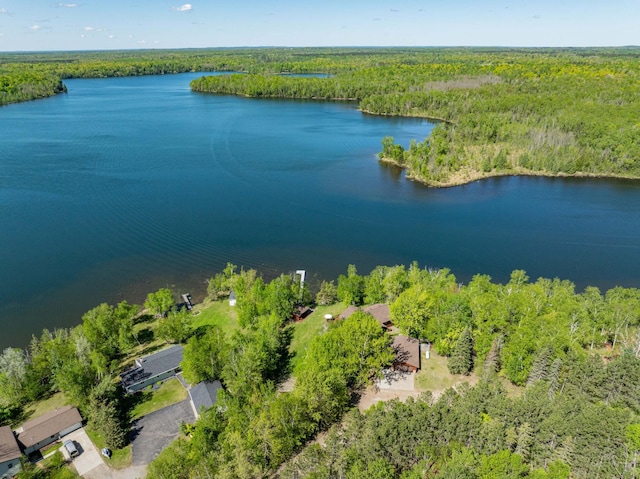 36737 Shoreview Dr, Wabana Twp, MN 55744 - bird's eye view of a heavily wooded area and a nearby body of water