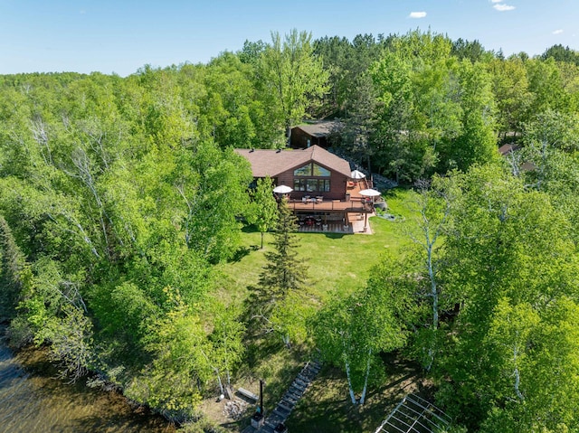 36737 Shoreview Dr, Wabana Twp, MN 55744 - aerial view of property and surrounding area with a forest
