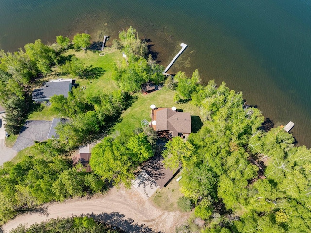 36737 Shoreview Dr, Wabana Twp, MN 55744 - aerial view