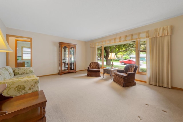 706 9th Ave SW, Faribault, MN 55021 - living area with baseboards and carpet