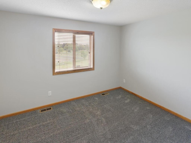 11023 171st Ave SE, Becker, MN 55308 - empty room with carpet floors and baseboards
