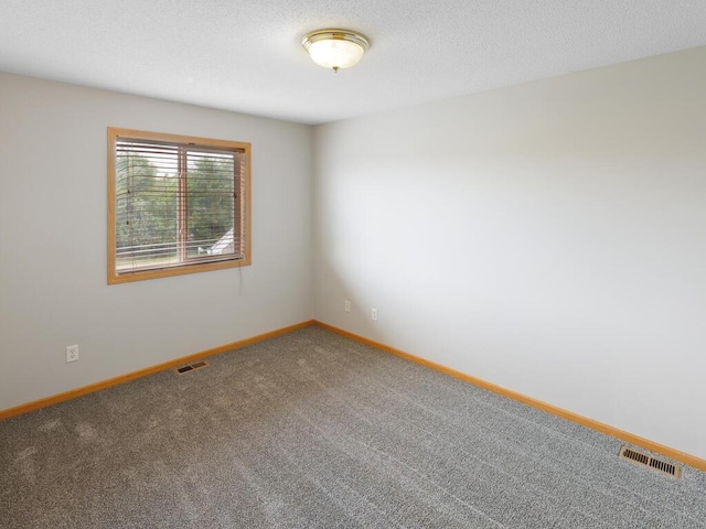 11023 171st Ave SE, Becker, MN 55308 - carpeted empty room with baseboards and a textured ceiling