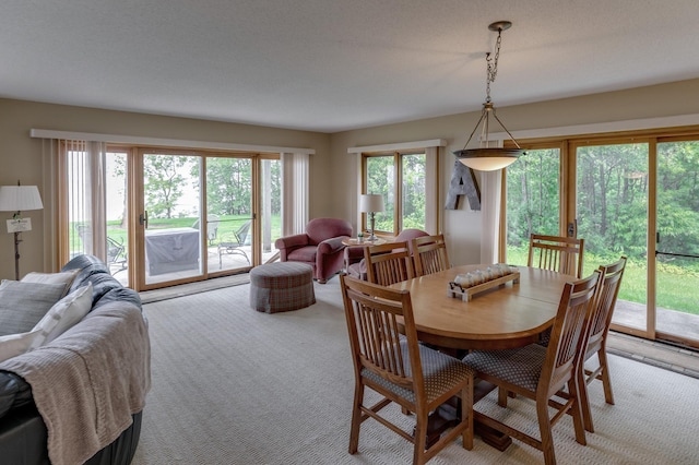8012 Par Five Dr, South Harbor Twp, MN 56359 - dining space with plenty of natural light