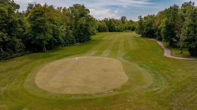 8012 Par Five Dr, South Harbor Twp, MN 56359 - view of community featuring golf course view, a putting green, view of scattered trees, and a yard