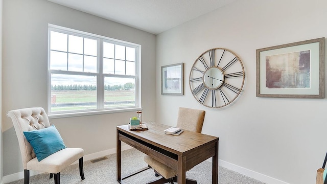 6562 208th St W, Farmington, MN 55024 - office area with carpet, baseboards, and plenty of natural light