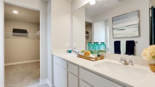 6562 208th St W, Farmington, MN 55024 - bathroom with double vanity, a spacious closet, and baseboards