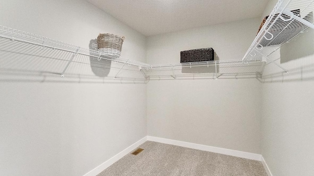 6562 208th St W, Farmington, MN 55024 - walk in closet featuring light colored carpet