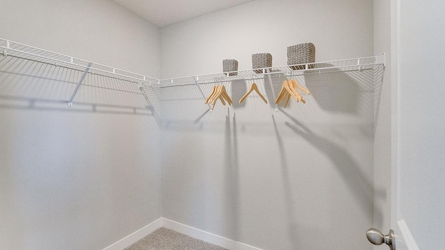 6562 208th St W, Farmington, MN 55024 - walk in closet with carpet