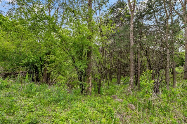 6591 Galpin Blvd, Chanhassen, MN 55331 - photo 19