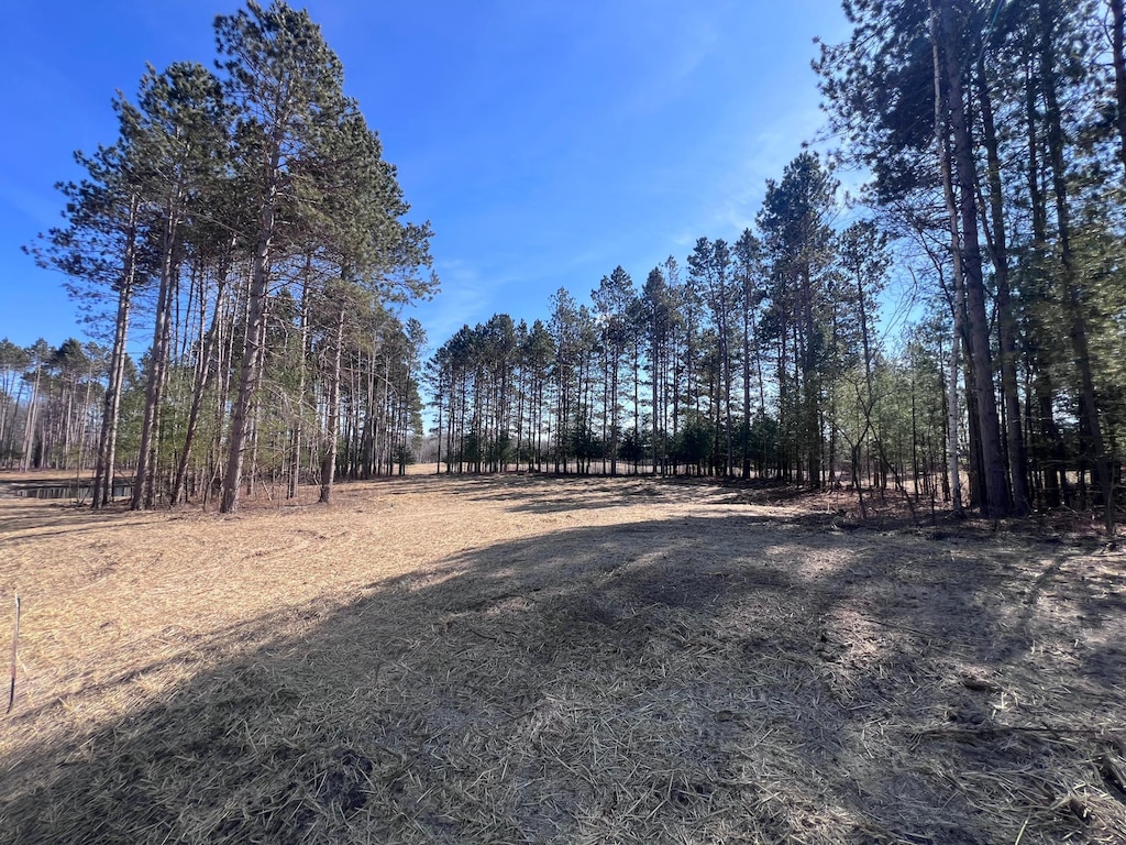 TBD1 317th Ct NW, Bradford Twp, MN 55008 - view of yard