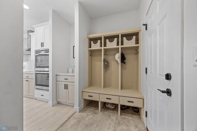508 13th St NE, Dilworth, MN 56529 - mudroom with light wood-style flooring