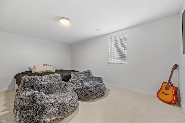 508 13th St NE, Dilworth, MN 56529 - sitting room with carpet and baseboards