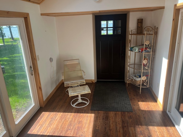 39307 Clearmont Rd, Everts Twp, MN 56515 - foyer entrance with wood finished floors, plenty of natural light, and baseboards