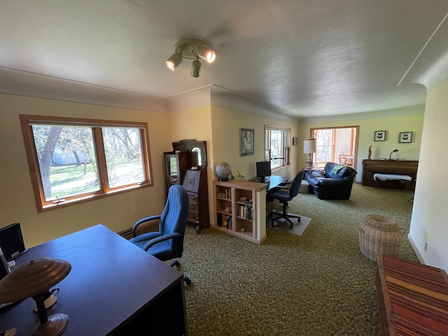 37165 300th Ave NE, Rollis Twp, MN 56724 - office featuring carpet flooring and plenty of natural light