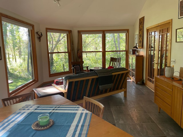37165 300th Ave NE, Rollis Twp, MN 56724 - dining area featuring lofted ceiling, plenty of natural light, rail lighting, and dark tile patterned floors