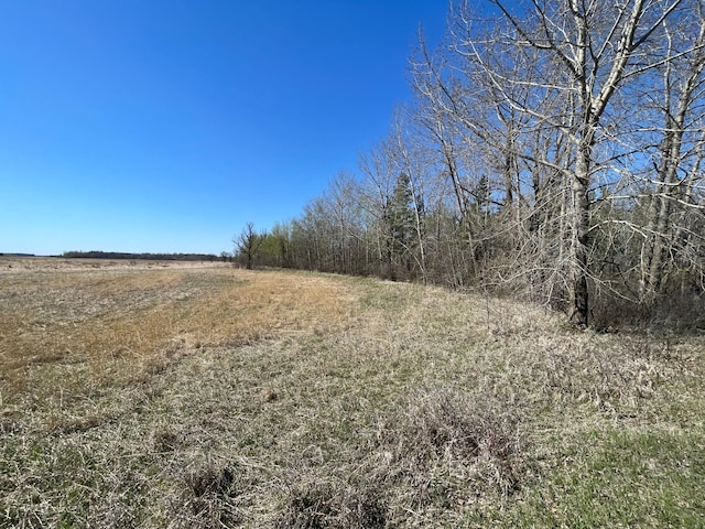 37165 300th Ave NE, Rollis Twp, MN 56724 - view of nature