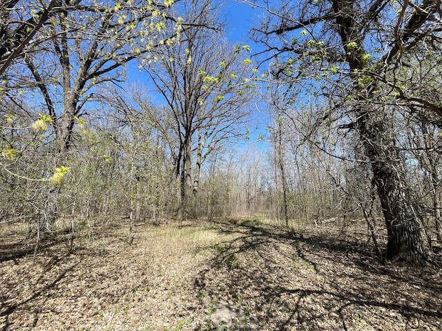37165 300th Ave NE, Rollis Twp, MN 56724 - view of woods