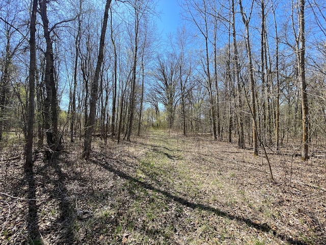 37165 300th Ave NE, Rollis Twp, MN 56724 - view of tree filled area