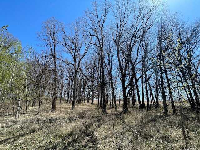 37165 300th Ave NE, Rollis Twp, MN 56724 - view of nature