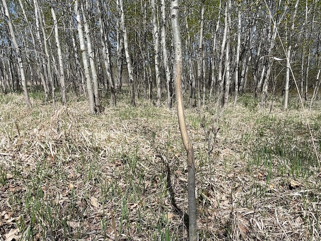 37165 300th Ave NE, Rollis Twp, MN 56724 - view of nature