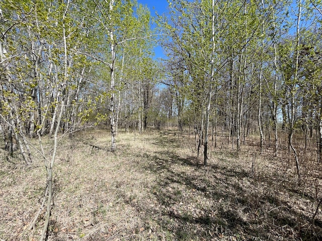 37165 300th Ave NE, Rollis Twp, MN 56724 - view of undeveloped land