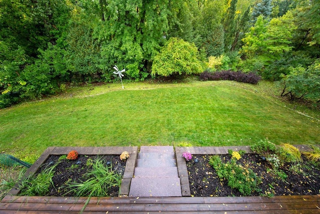 view of grassy yard