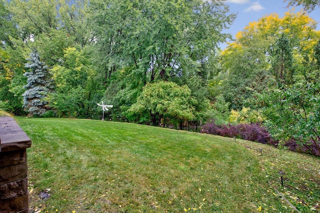 view of green lawn