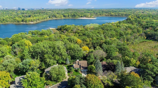 aerial overview of property's location with a forest and a nearby body of water