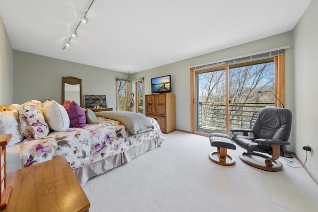 bedroom with access to outside, carpet, rail lighting, and baseboards