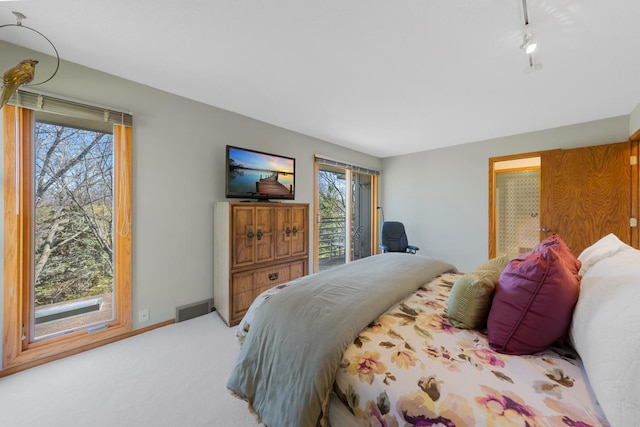 bedroom with carpet and track lighting