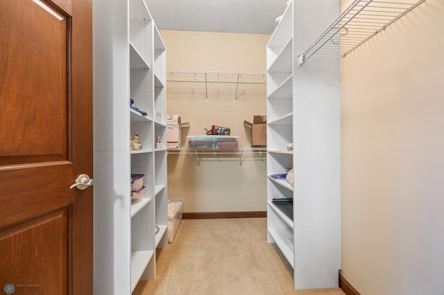 1395 Highpointe Dr N, Fargo, ND 58102 - walk in closet featuring light carpet