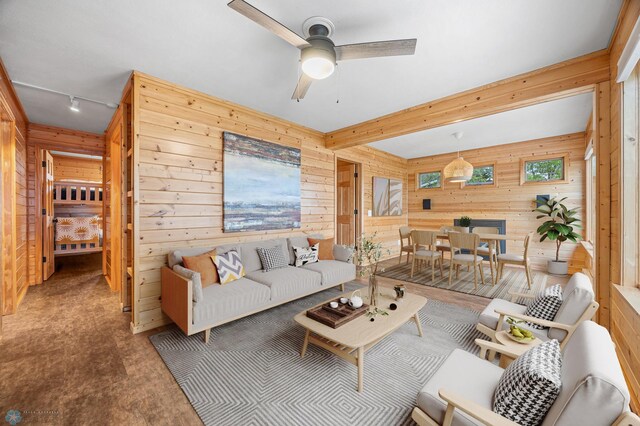 24527 Twilight Ln, Lida Twp, MN 56572 - living area with wooden walls, ceiling fan, and track lighting