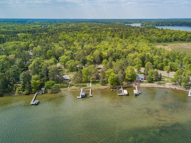 6769 County Road 13, Lake Edward Twp, MN 56468 - aerial view of a forest and a nearby body of water