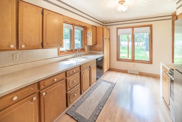 6769 County Road 13, Lake Edward Twp, MN 56468 - kitchen with a sink, light wood-type flooring, dishwasher, light countertops, and baseboards