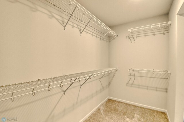 1474 66th Ave S, Fargo, ND 58104 - spacious closet featuring light carpet