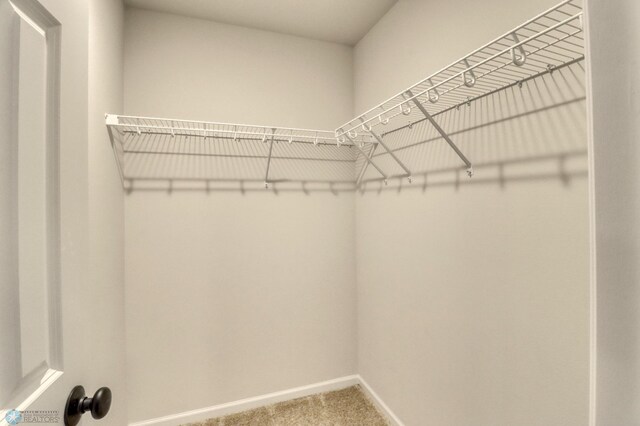 1474 66th Ave S, Fargo, ND 58104 - walk in closet with carpet