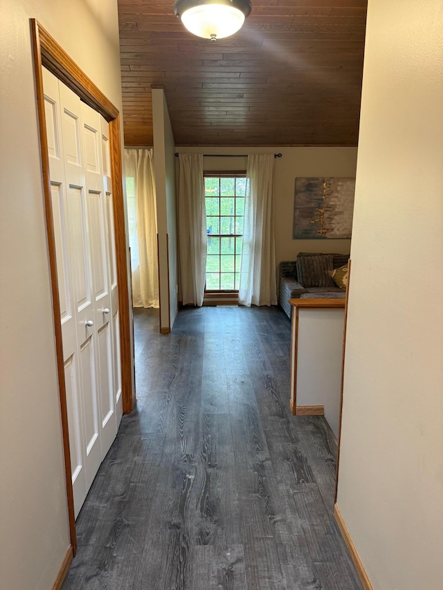 50429 245th Ave, Staples Twp, MN 56479 - hall with wooden ceiling, lofted ceiling, dark wood finished floors, and baseboards
