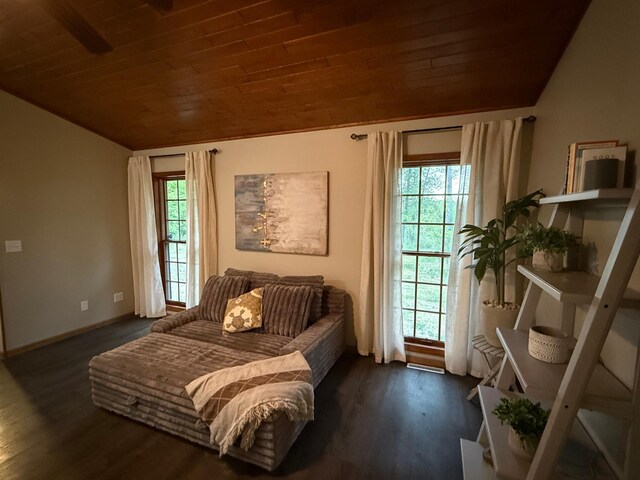 50429 245th Ave, Staples Twp, MN 56479 - sitting room featuring wooden ceiling, vaulted ceiling, dark wood finished floors, and baseboards
