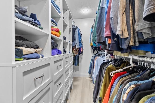 216 Crestview Cir, Jordan, MN 55352 - spacious closet with light wood-style flooring